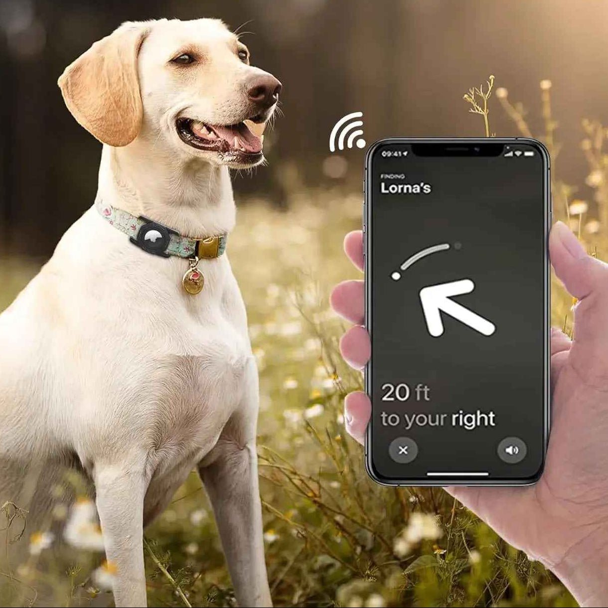 Étui AirTag pour chiens : gardez votre animal en sécurité - Lifetech Store