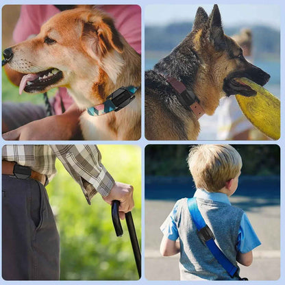 Étui AirTag pour chiens : gardez votre animal en sécurité - Lifetech Store
