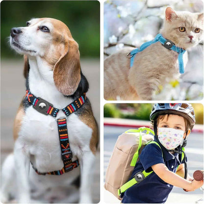 Étui AirTag pour chiens : gardez votre animal en sécurité - Lifetech Store